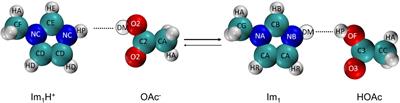 Protex—A Python utility for proton exchange in molecular dynamics simulations